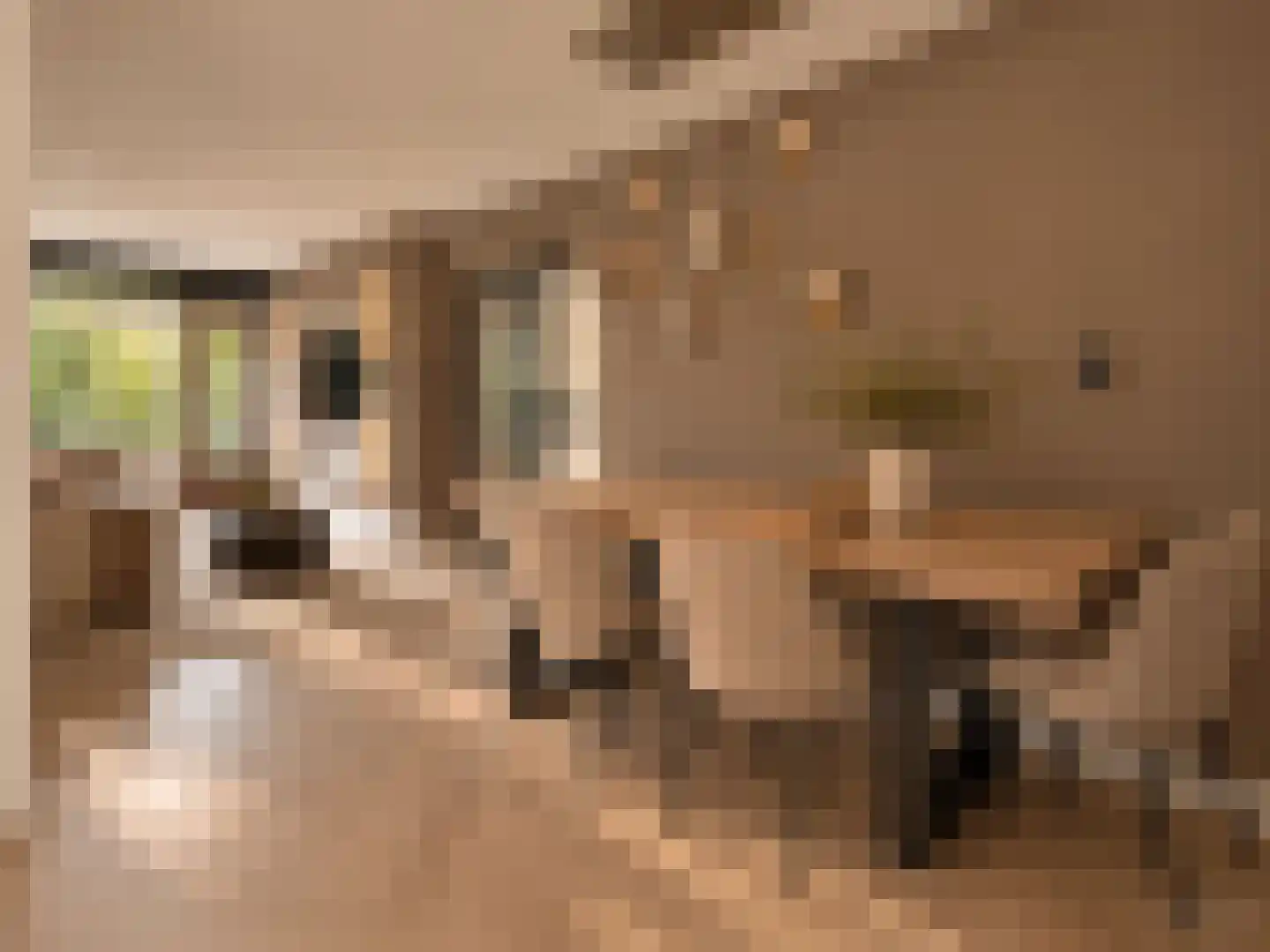 Amerbos 156 Amsterdam thumbnail 4
