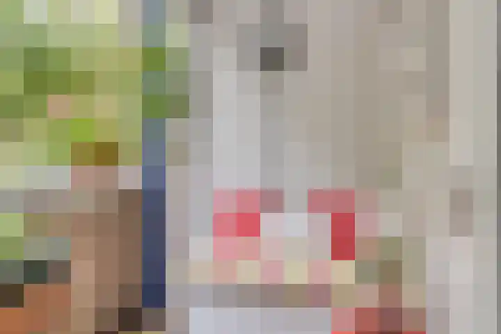 Amerbos 17 Amsterdam thumbnail 17