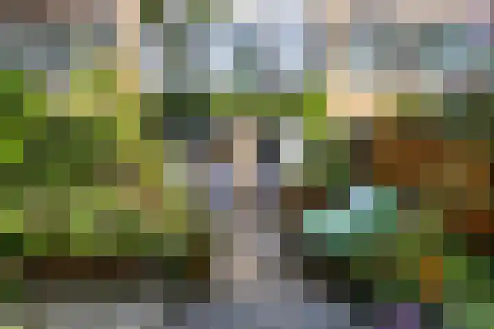 Amerbos 17 Amsterdam thumbnail 28