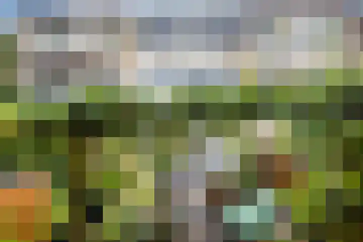 Amerbos 17 Amsterdam thumbnail 29