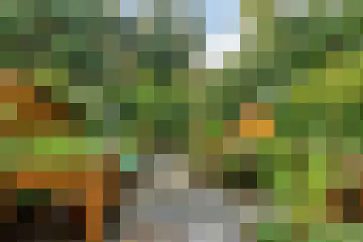 Amerbos 17 Amsterdam thumbnail 8