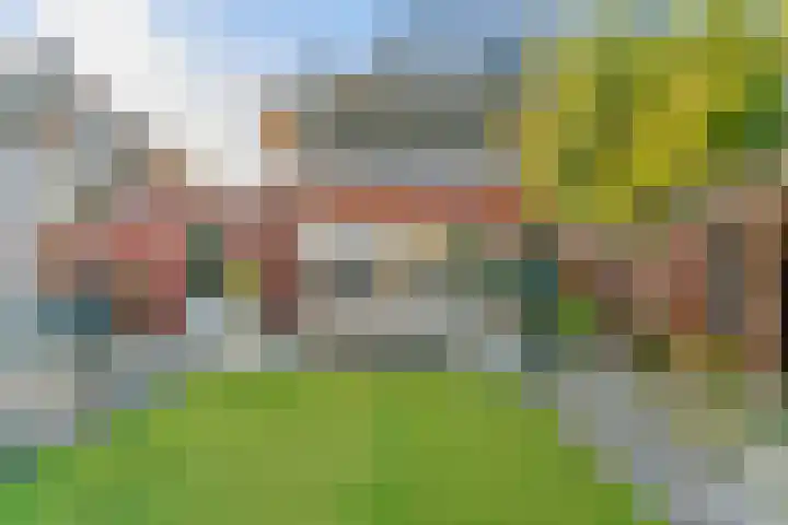 Amerbos 172 Amsterdam thumbnail 30