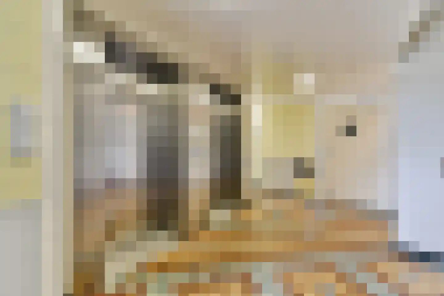 Amerbos 194 Amsterdam thumbnail 12