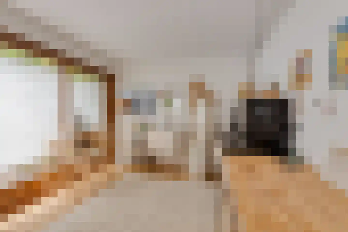 Amerbos 221 Amsterdam thumbnail 32