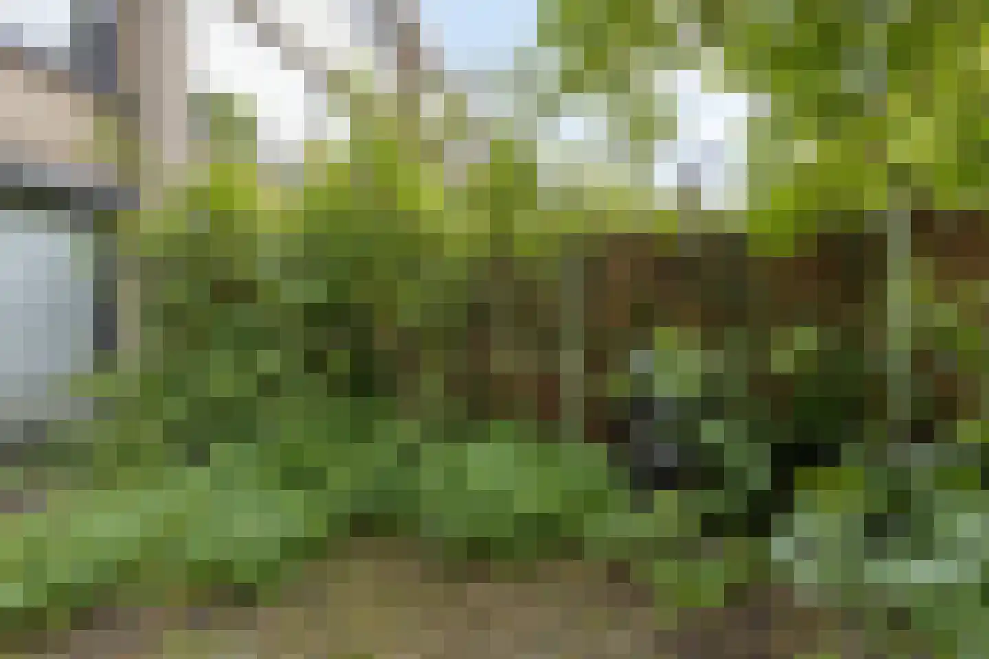 Amerbos 221 Amsterdam thumbnail 38