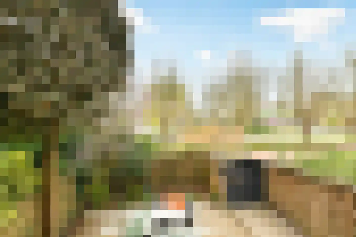 Amerbos 225 Amsterdam thumbnail 16