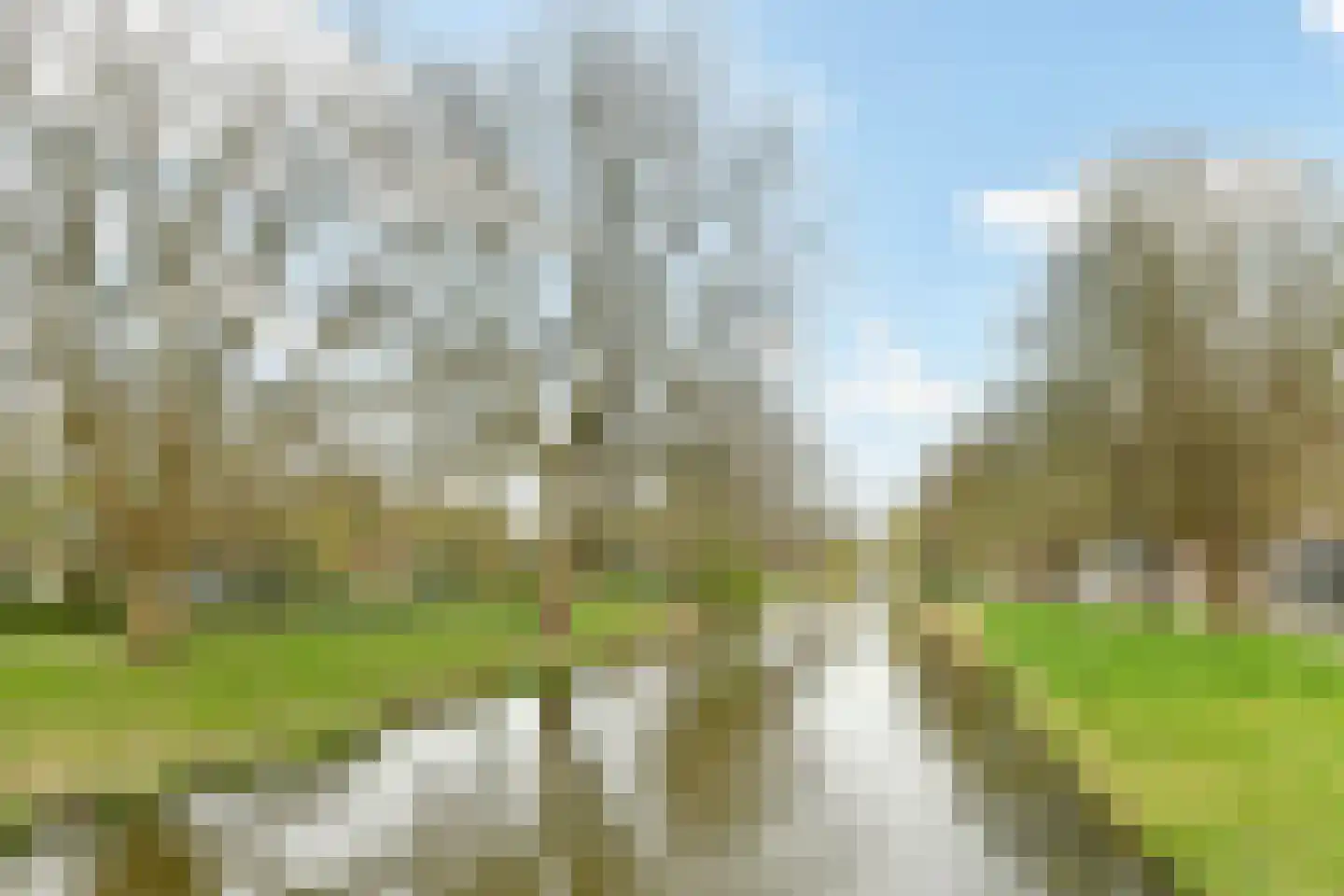 Amerbos 225 Amsterdam thumbnail 30