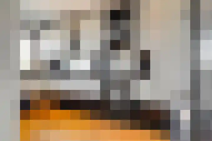 Amerbos 228 Amsterdam thumbnail 17