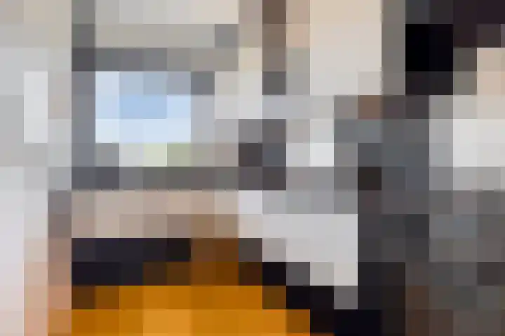 Amerbos 228 Amsterdam thumbnail 18