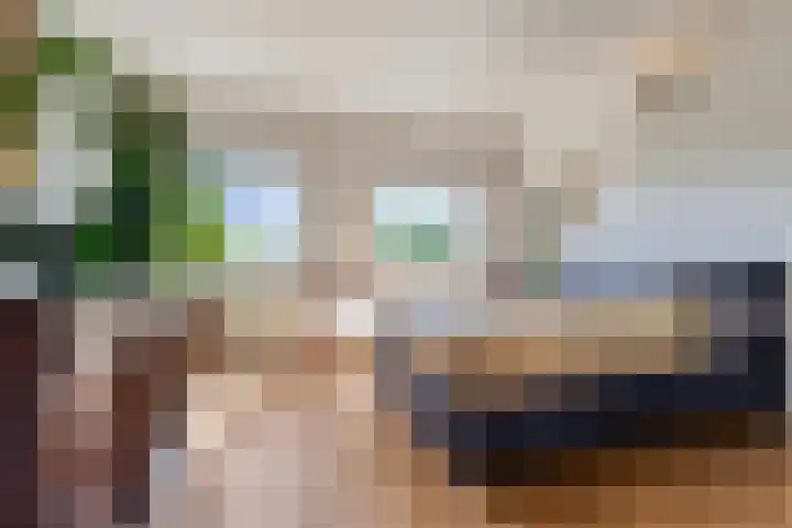 Amerbos 228 Amsterdam thumbnail 24