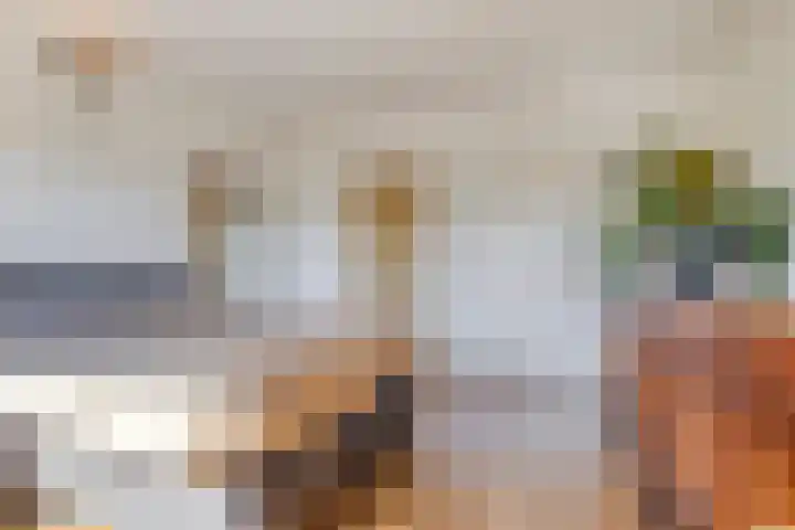 Amerbos 228 Amsterdam thumbnail 28