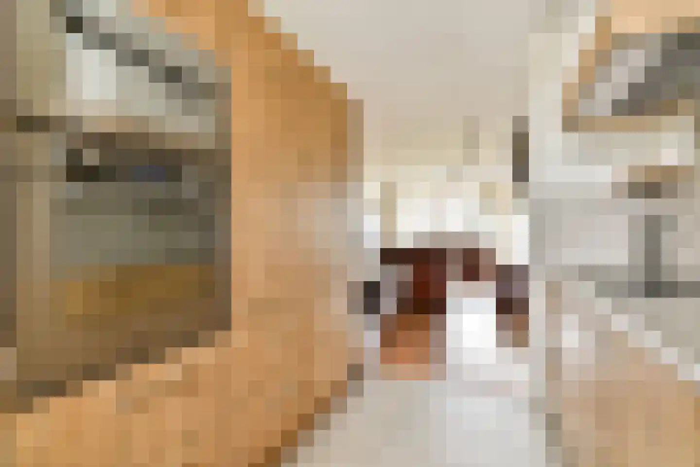 Amerbos 229 Amsterdam thumbnail 8