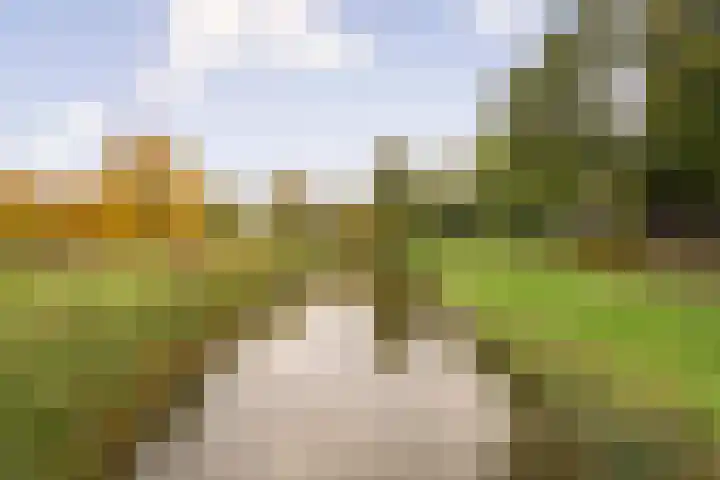 Amerbos 243 Amsterdam thumbnail 33
