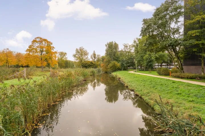 Amerbos 243 Amsterdam thumbnail 16