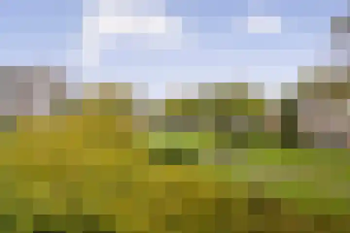 Amerbos 243 Amsterdam thumbnail 6
