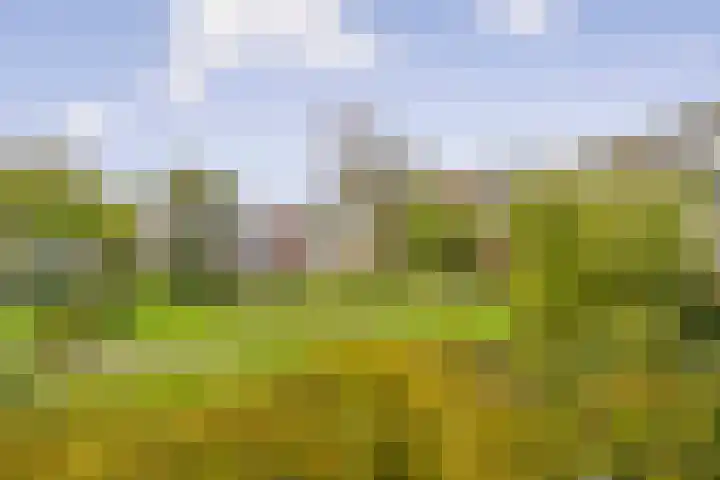 Amerbos 243 Amsterdam thumbnail 7