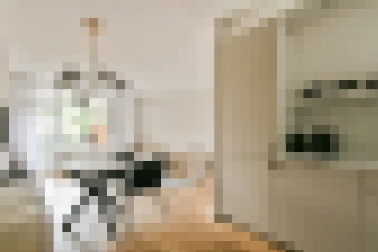 Amerbos 249 Amsterdam thumbnail 10