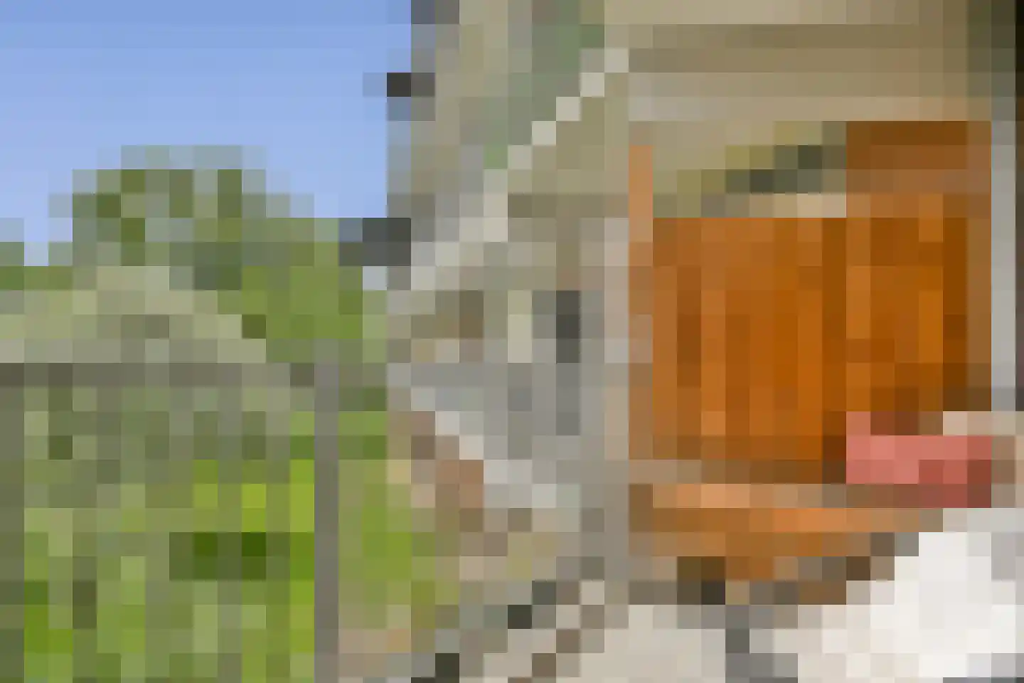 Amerbos 249 Amsterdam thumbnail 12
