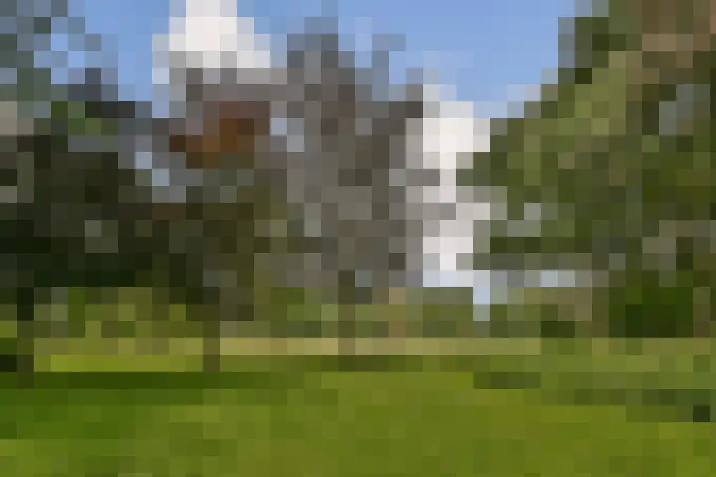 Amerbos 249 Amsterdam thumbnail 20