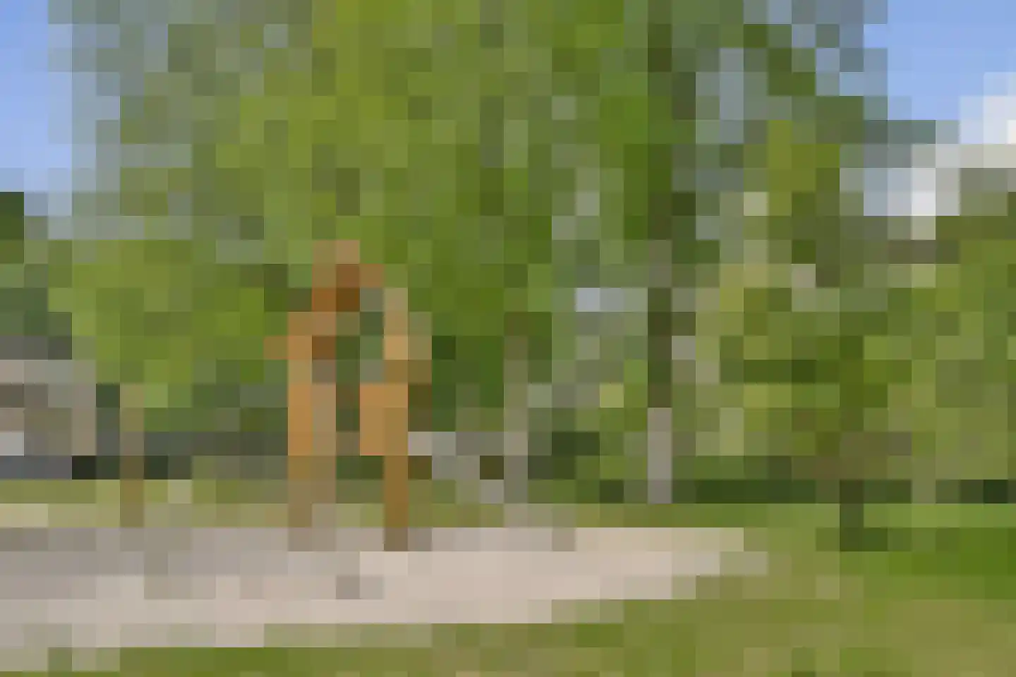 Amerbos 249 Amsterdam thumbnail 22