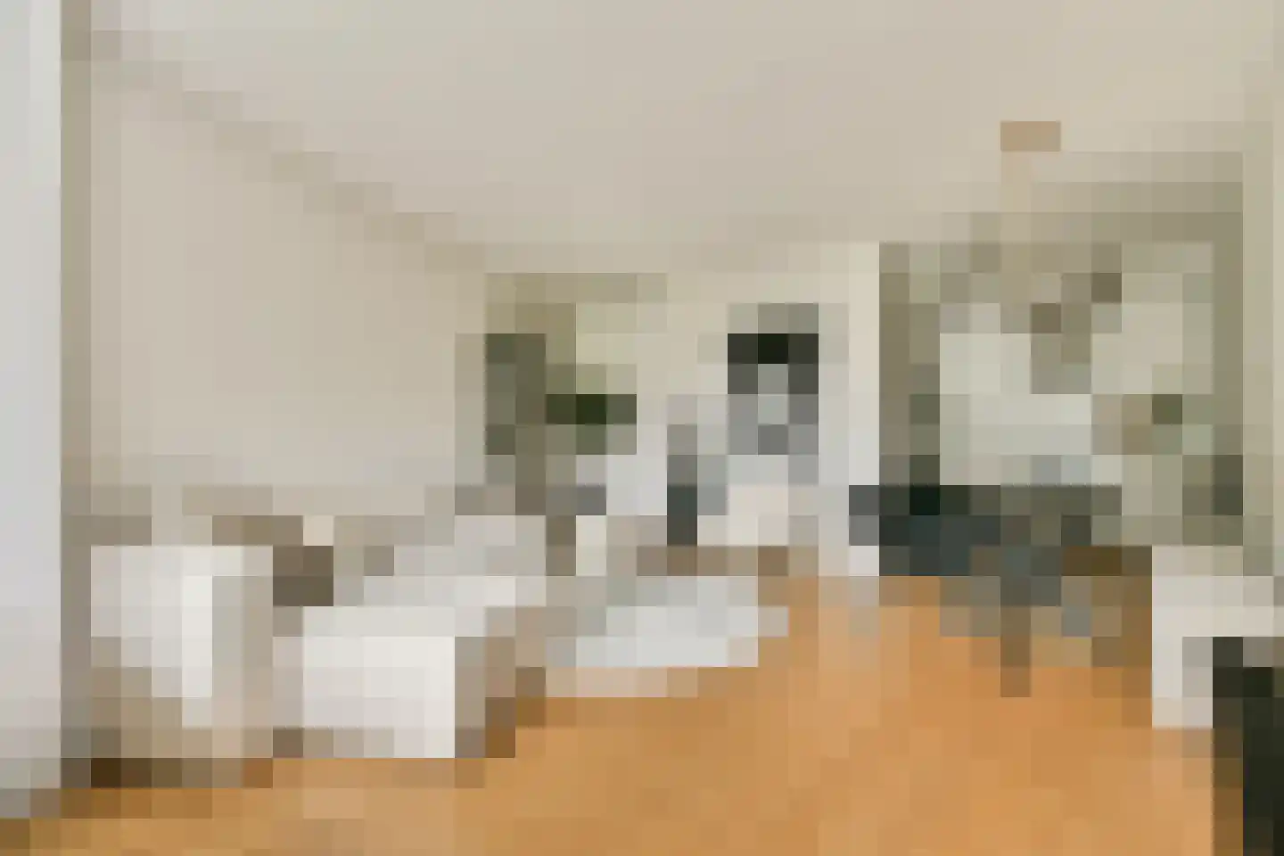 Amerbos 249 Amsterdam thumbnail 9