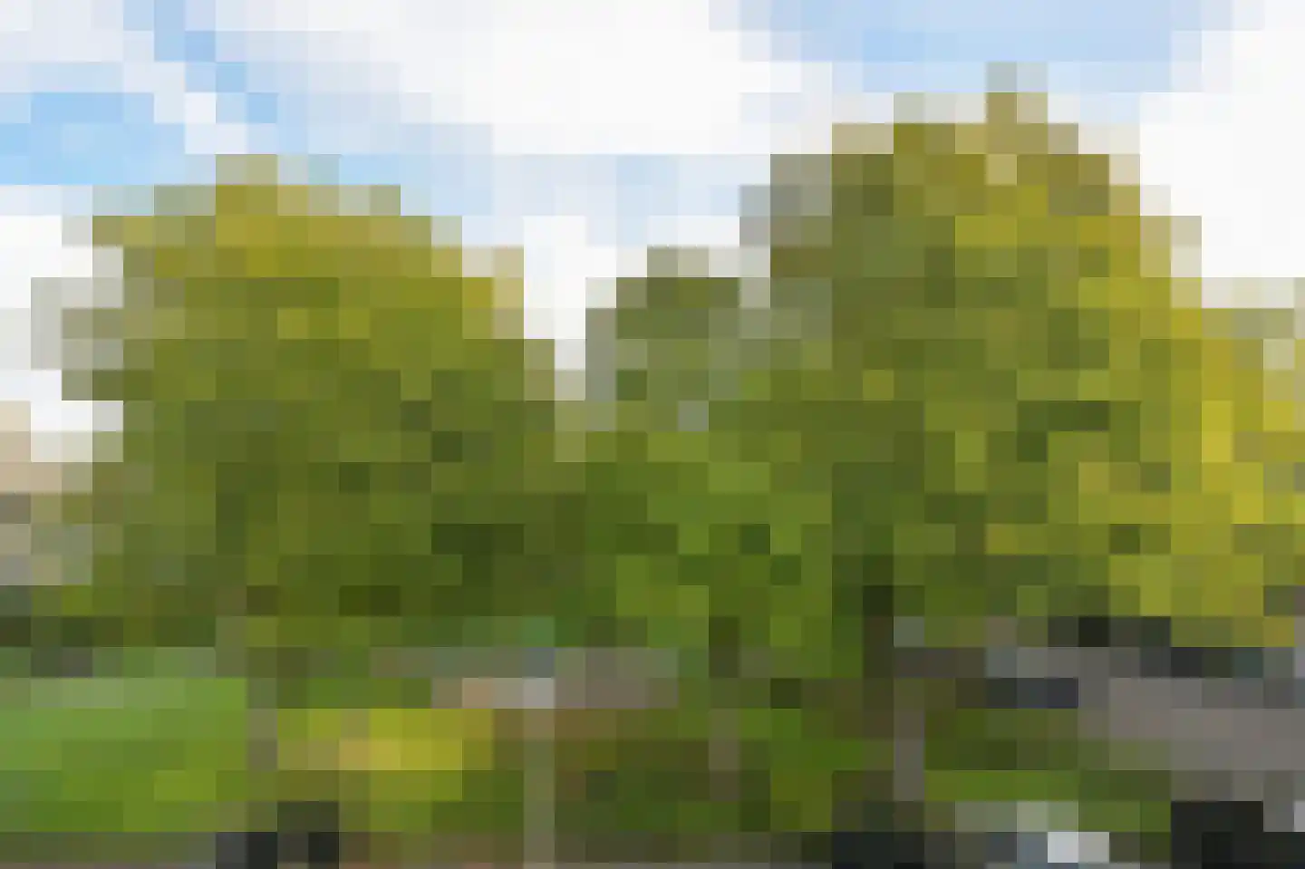 Amerbos 25 Amsterdam thumbnail 27