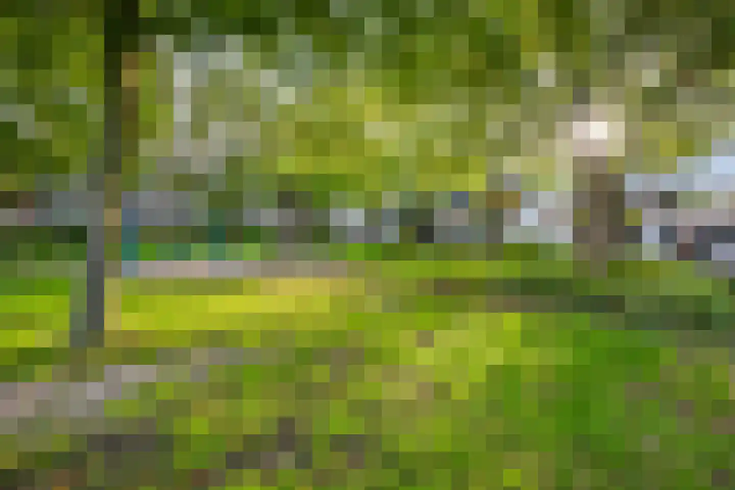 Amerbos 25 Amsterdam thumbnail 41