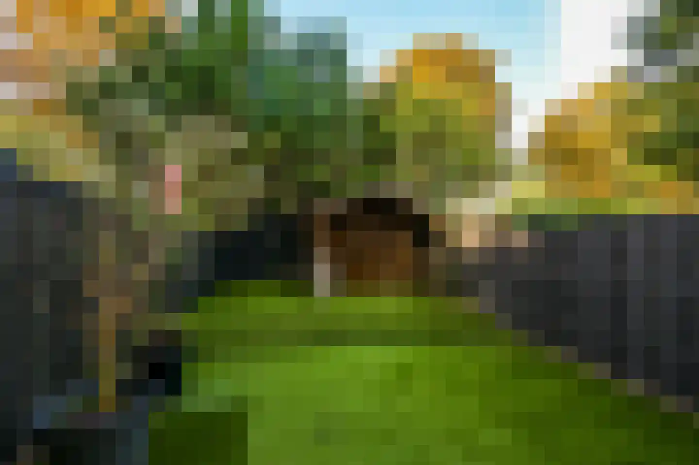 Amerbos 25 Amsterdam thumbnail 8