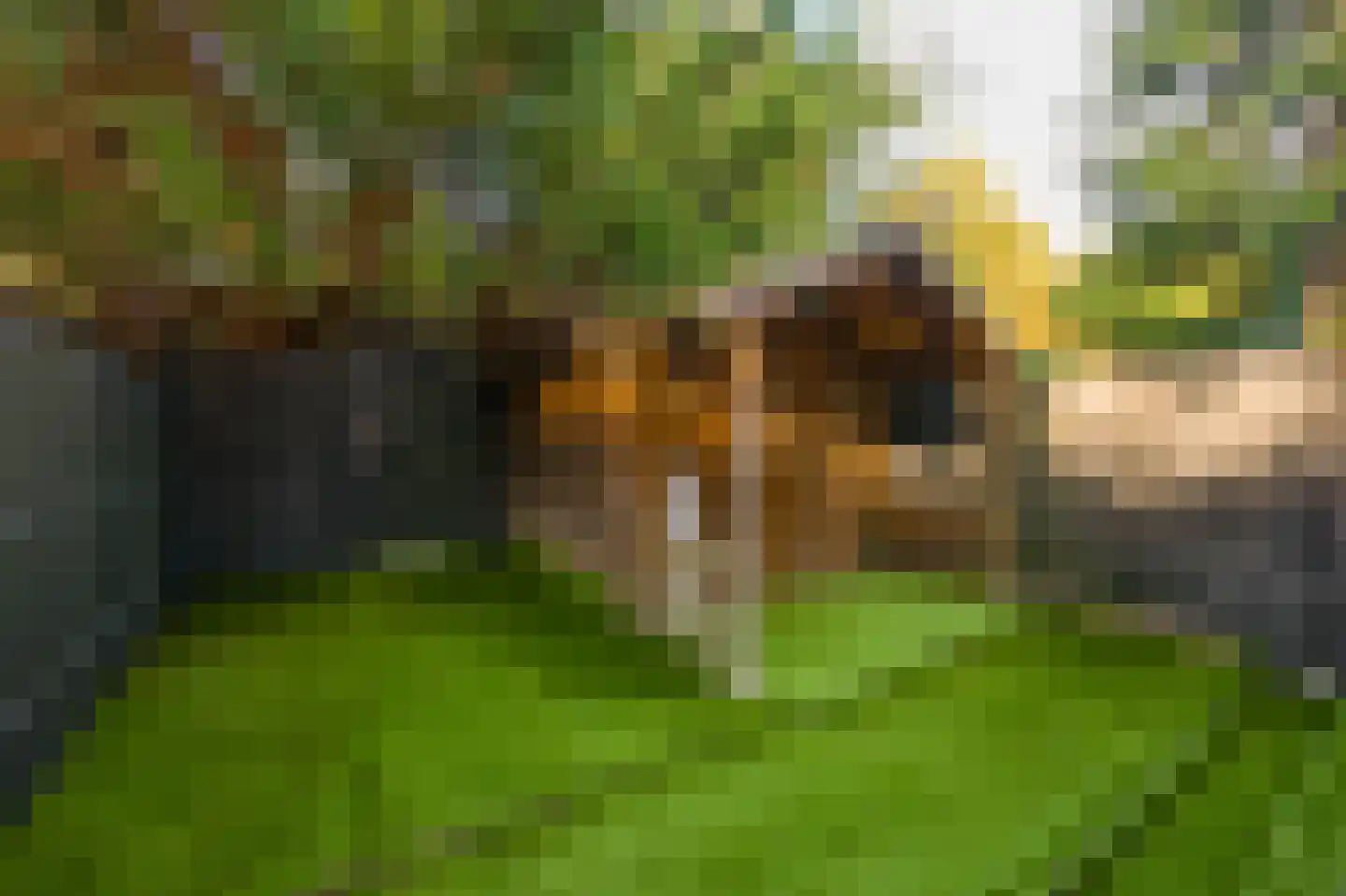 Amerbos 25 Amsterdam thumbnail 9