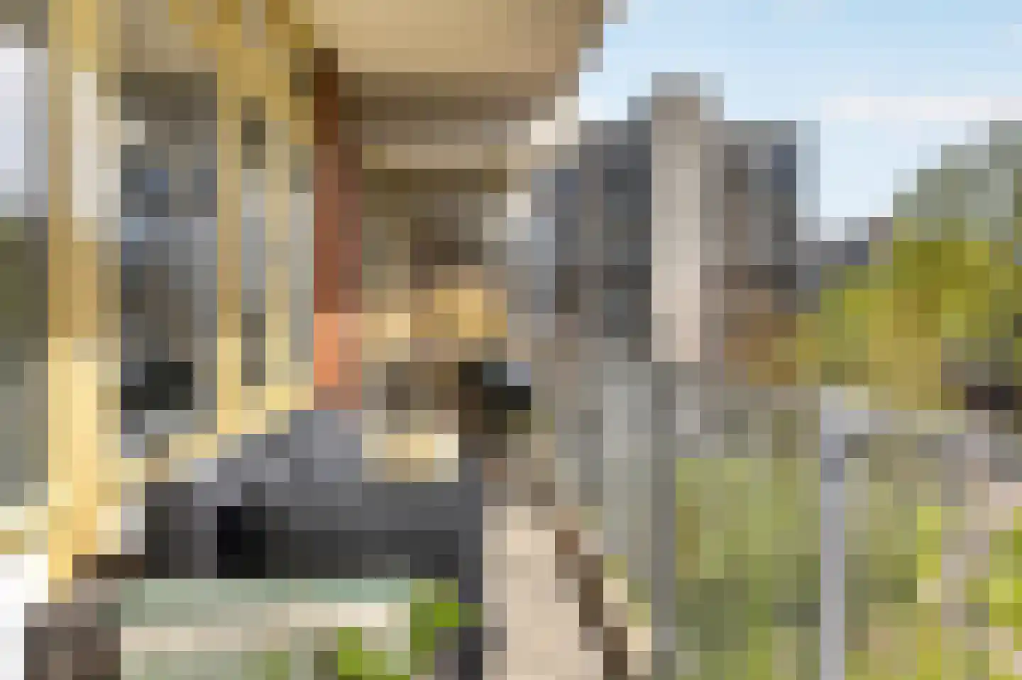 Amerbos 285 Amsterdam thumbnail 18