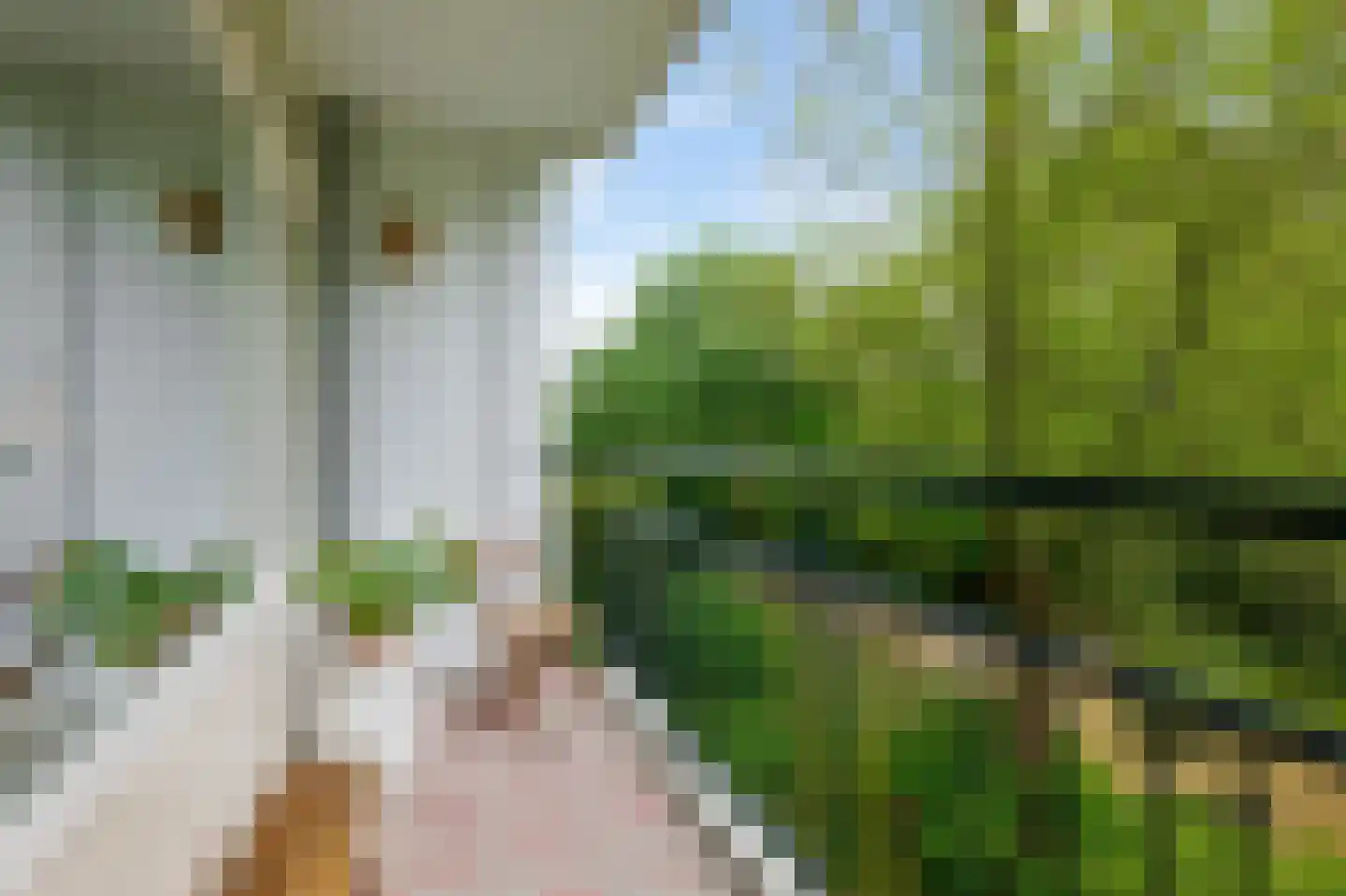 Amerbos 34 Amsterdam thumbnail 5