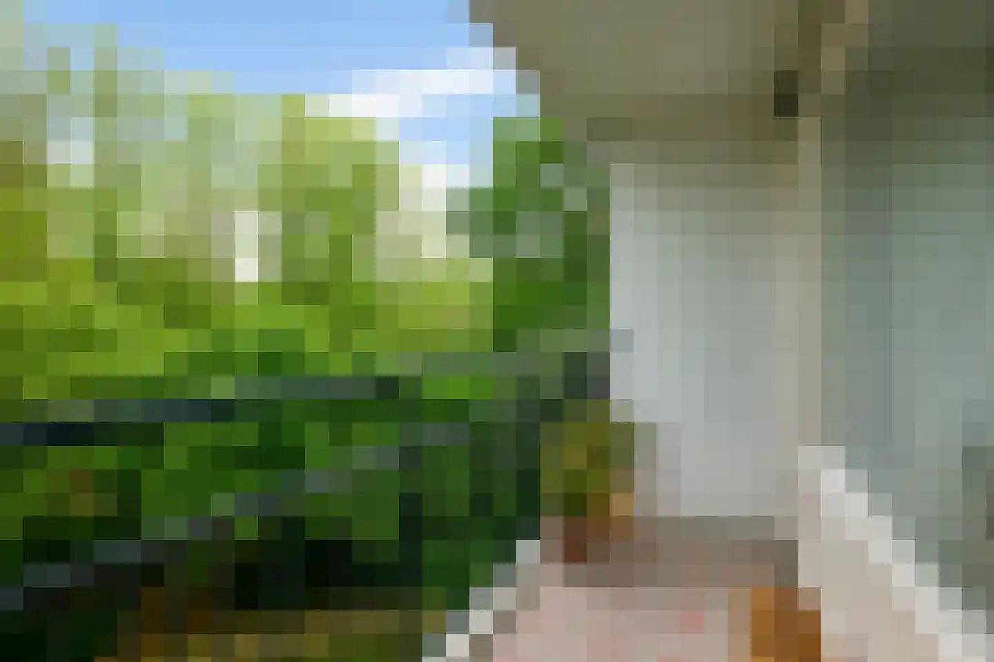 Amerbos 34 Amsterdam thumbnail 9