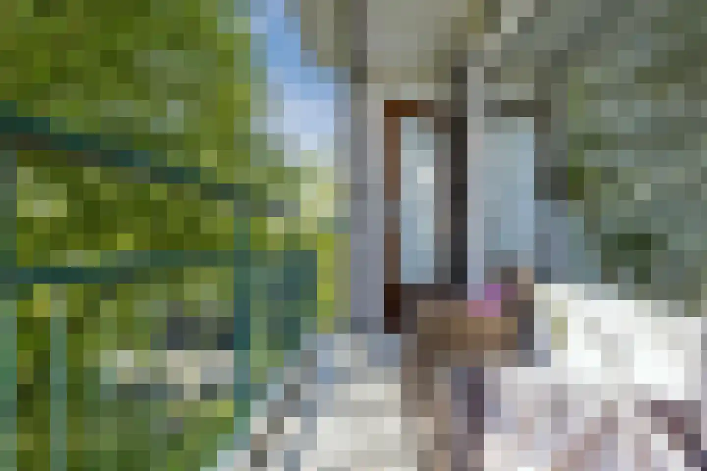 Amerbos 356 Amsterdam thumbnail 20