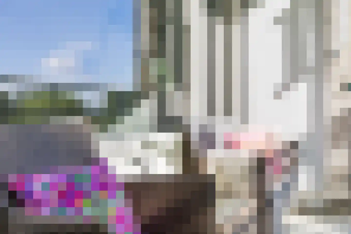 Amerbos 356 Amsterdam thumbnail 21