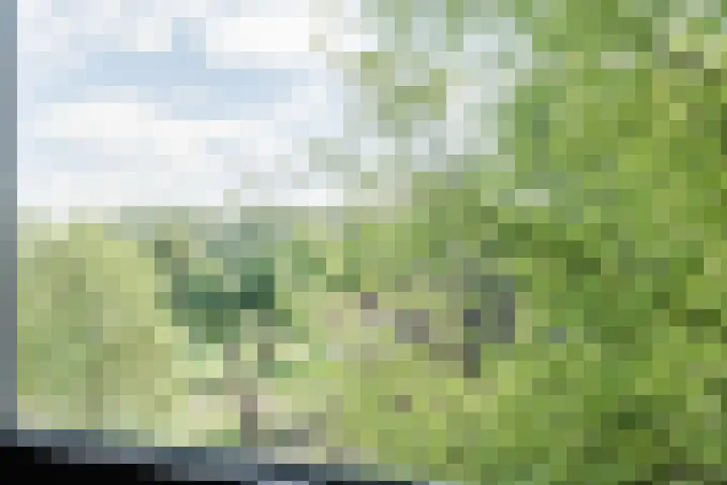 Amerbos 356 Amsterdam thumbnail 35
