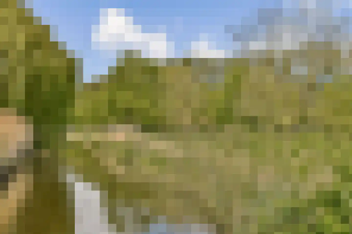 Amerbos 356 Amsterdam thumbnail 41