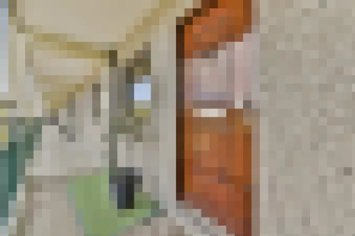 Amerbos 356 Amsterdam thumbnail 6
