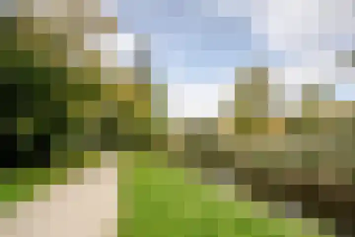 Amerbos 36 Amsterdam thumbnail 38