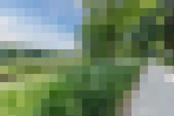 Amerbos 360 Amsterdam thumbnail 34