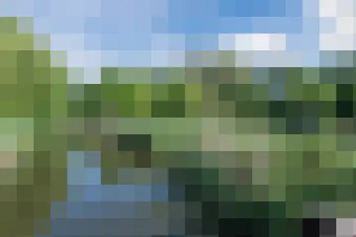 Amerbos 360 Amsterdam thumbnail 35