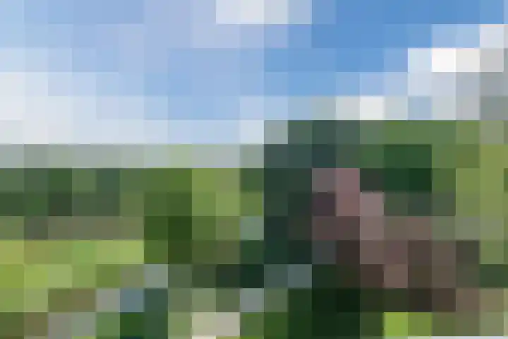 Amerbos 360 Amsterdam thumbnail 8