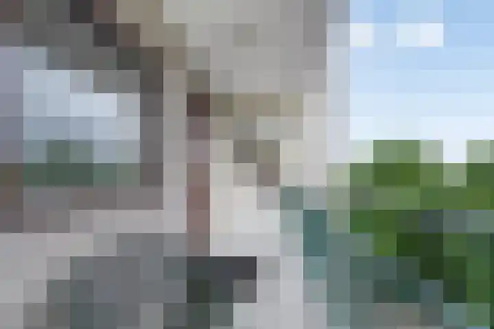 Amerbos 372 Amsterdam thumbnail 7
