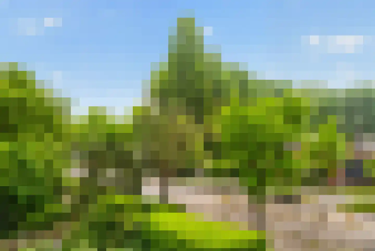 Amerbos 401 Amsterdam thumbnail 55