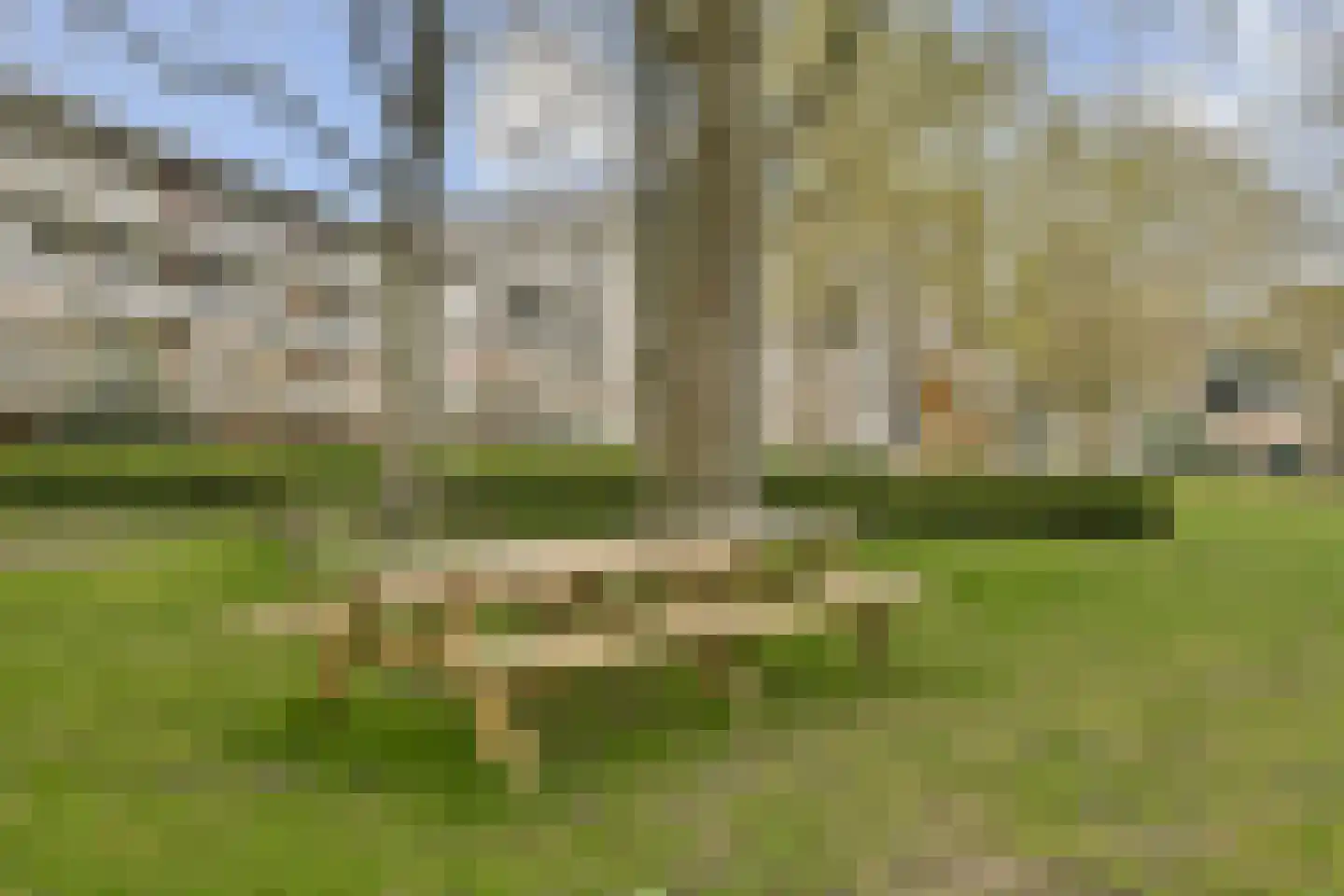 Amerbos 463 Amsterdam thumbnail 27