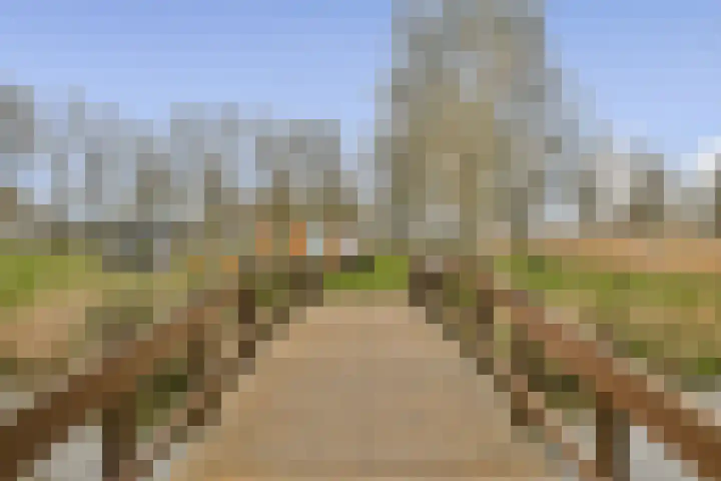 Amerbos 463 Amsterdam thumbnail 29