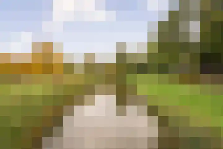 Amerbos 469 Amsterdam thumbnail 32