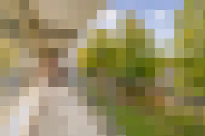 Amerbos 469 Amsterdam thumbnail 5