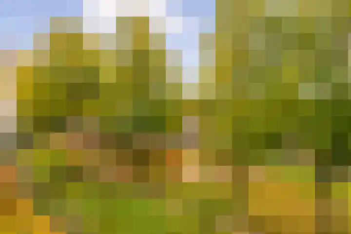 Amerbos 469 Amsterdam thumbnail 6