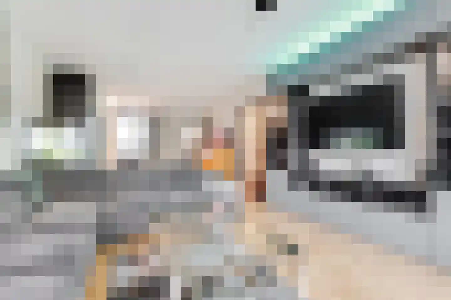 Amerbos 555 Amsterdam thumbnail 12