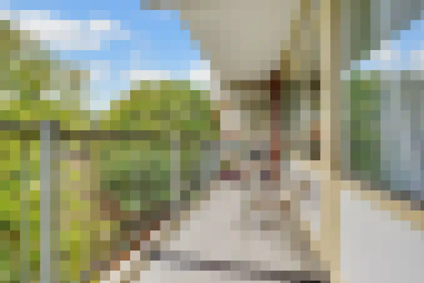 Amerbos 555 Amsterdam thumbnail 6
